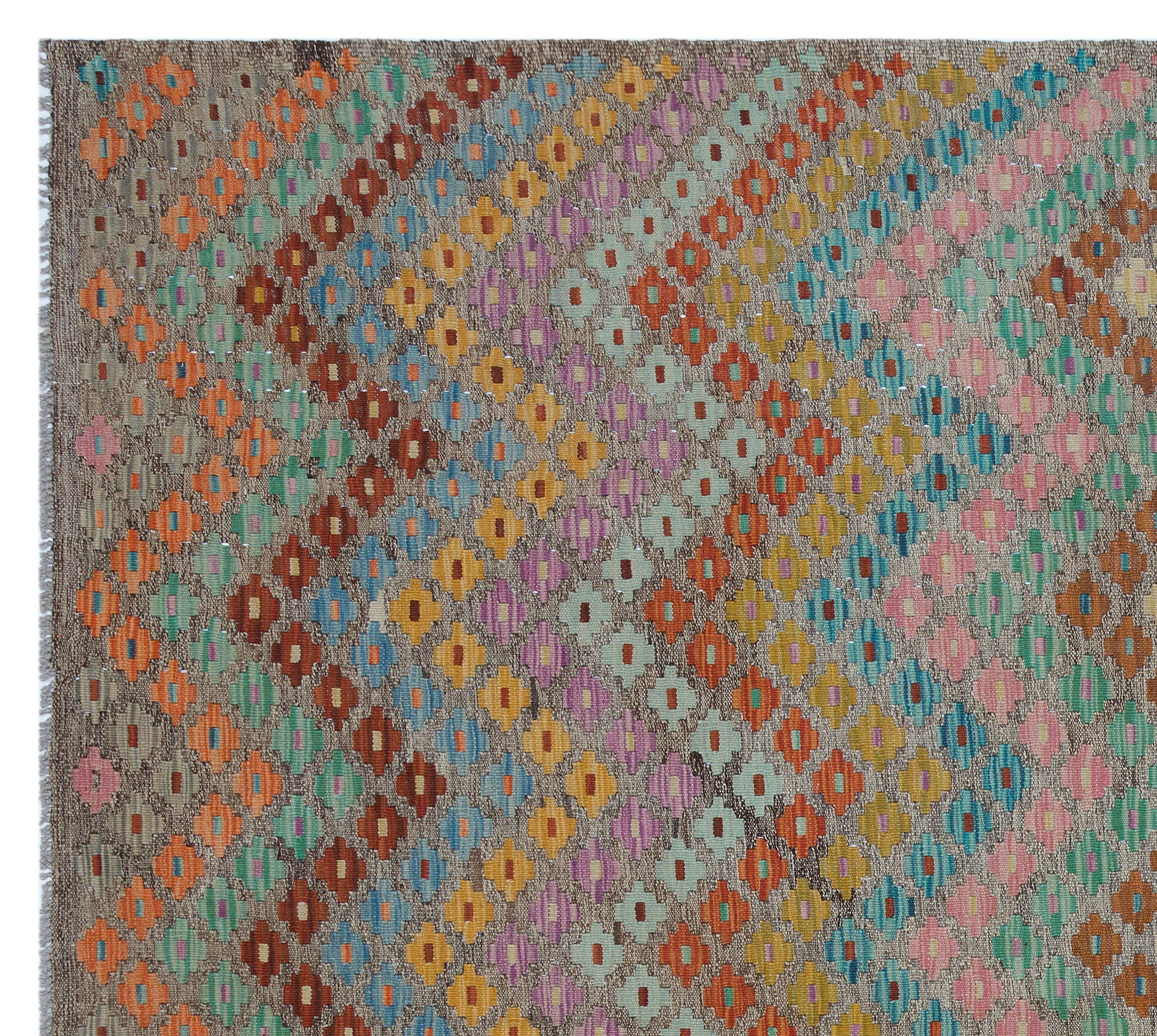 Selanik Beige Vintage Wool Handmade Area Rug 5'7" x 9'9"