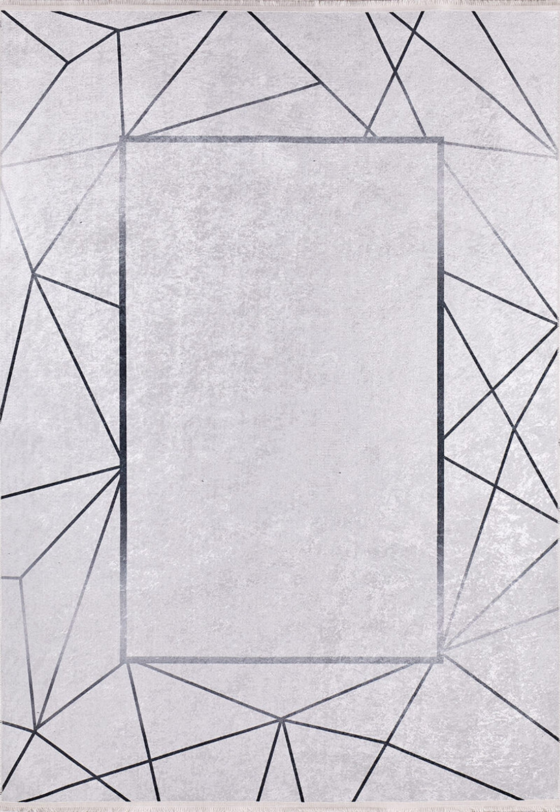 Rubtsovsk Grey Frame Digital Print Area Rug