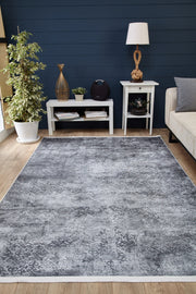 Digital Print Area Rug - Anthracite Classic Style Non Slip Carpet for Living Room