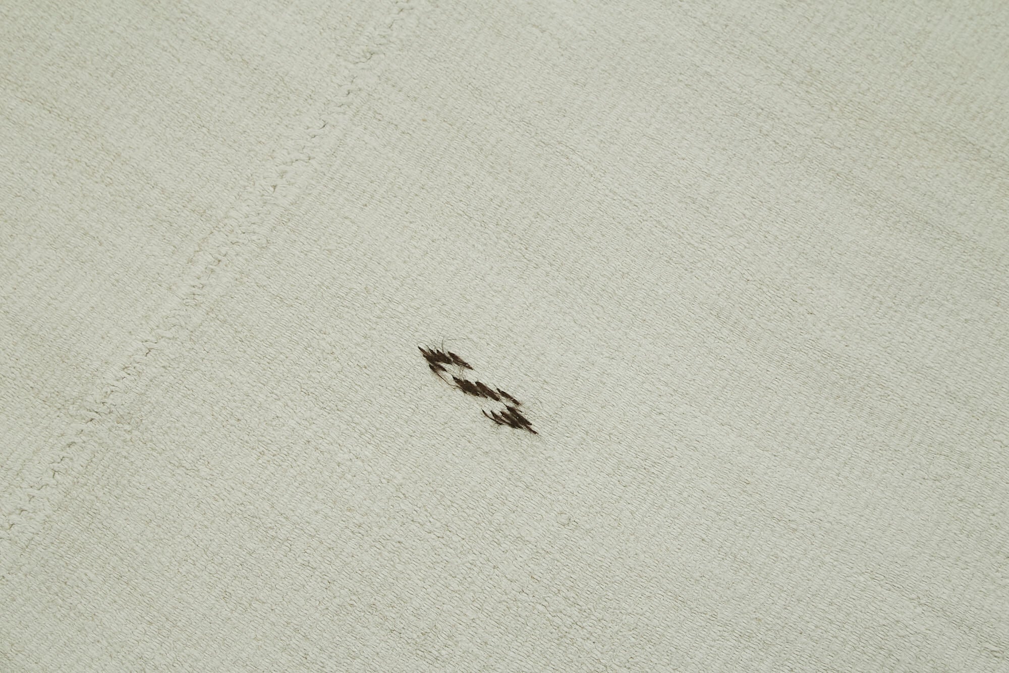 Handmade Hemp Rug – Kendir White Geometric Area Rug 6'2''x11'10'' Soft Texture Carpet